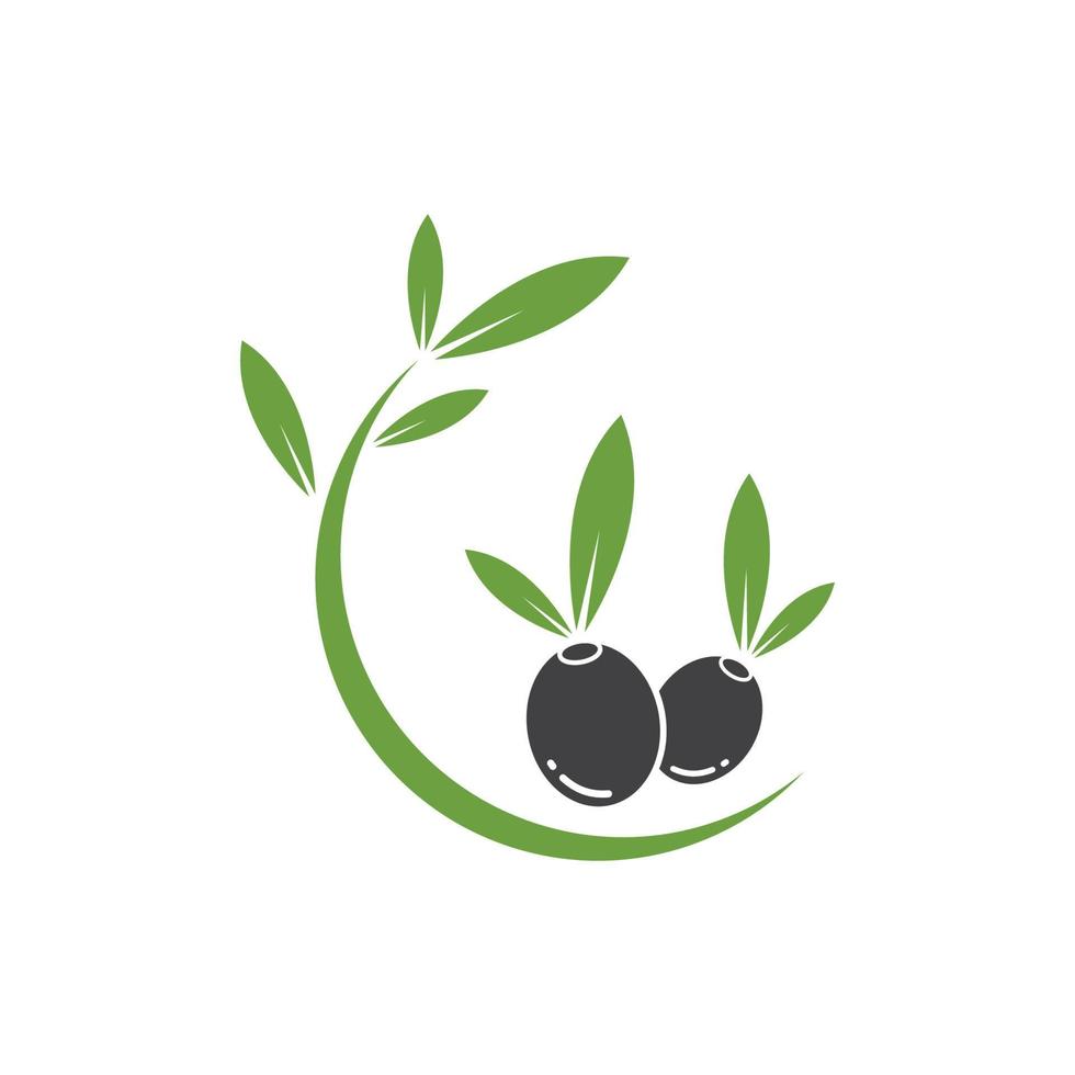 illustration vectorielle d'olive logo icône vecteur