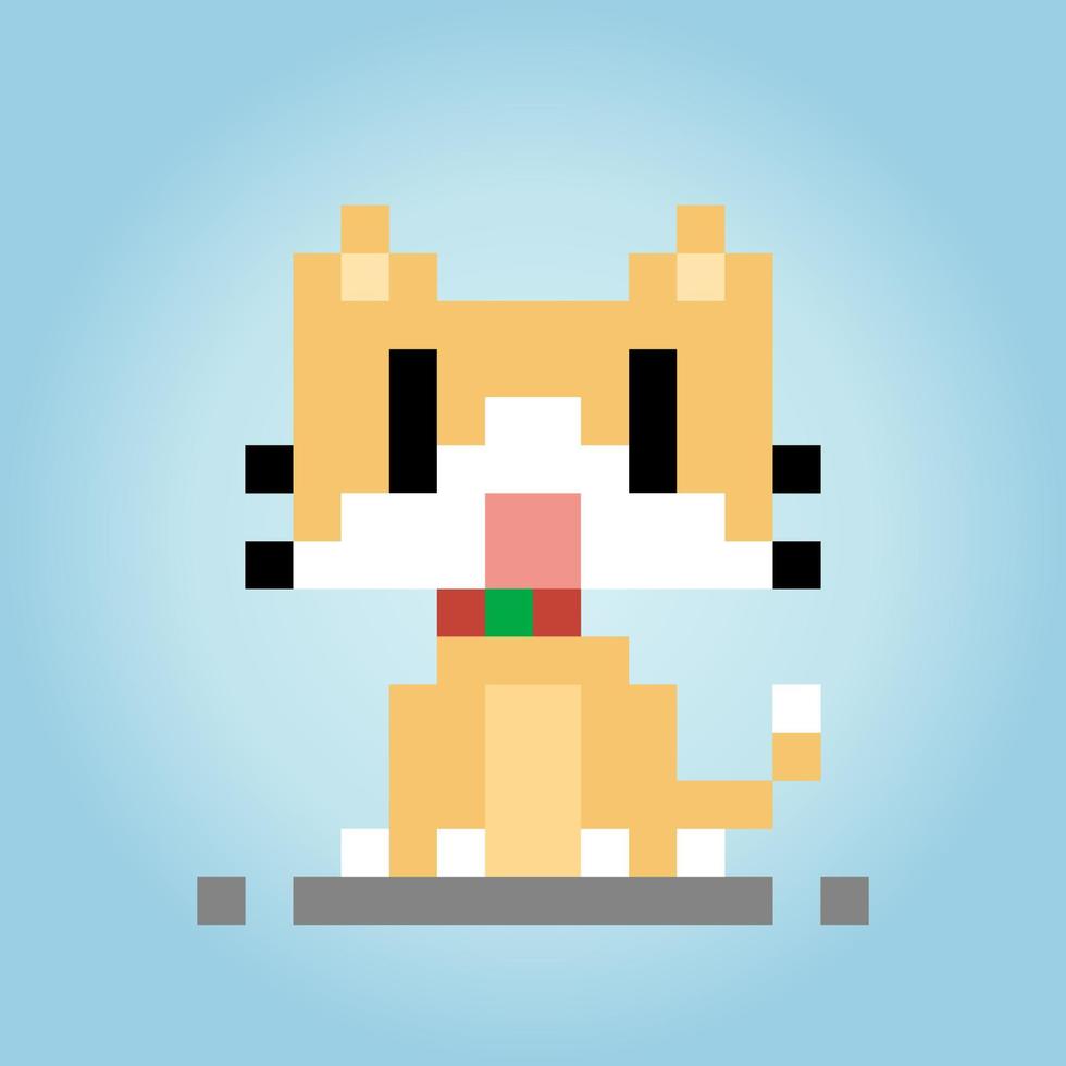 pixel 8 bits un chat. animal pour les actifs de jeu en illustration vectorielle. vecteur