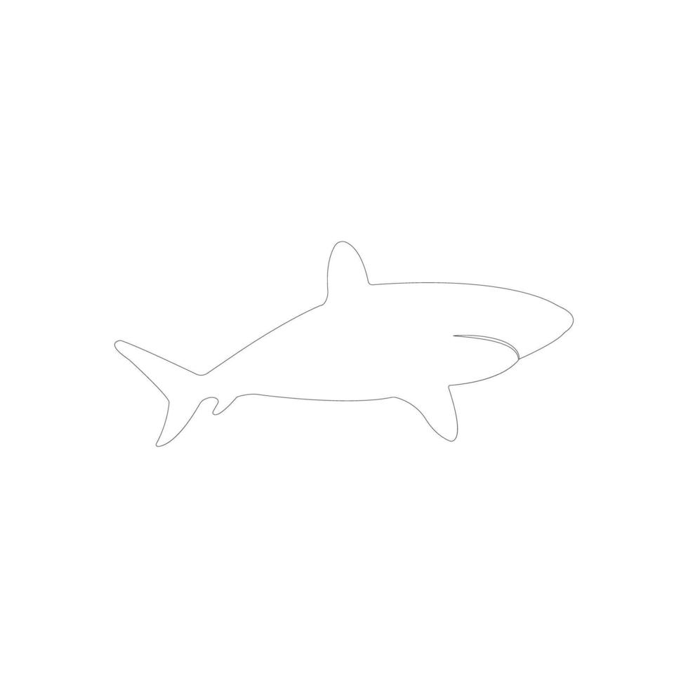 vecteur d'illustration d'icône de requin