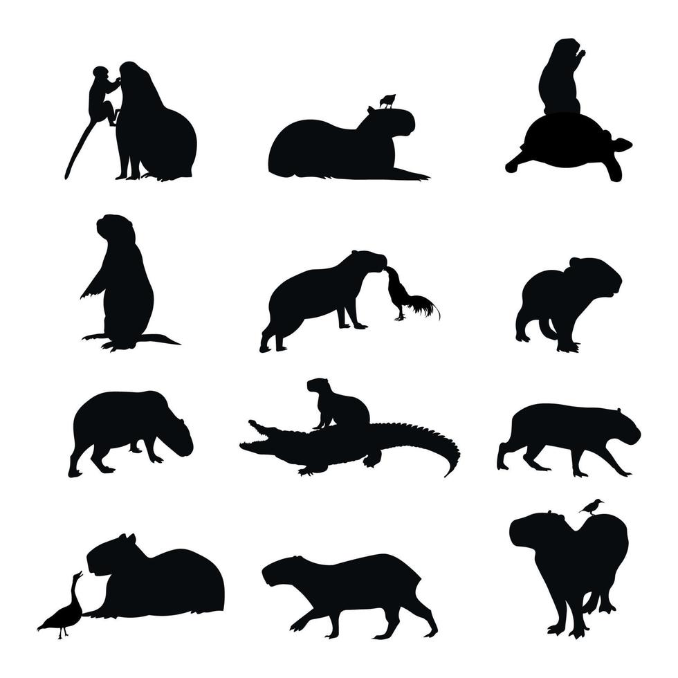 paquet ensemble de silhouettes de capybara relation amicale avec autre animaux vecteur