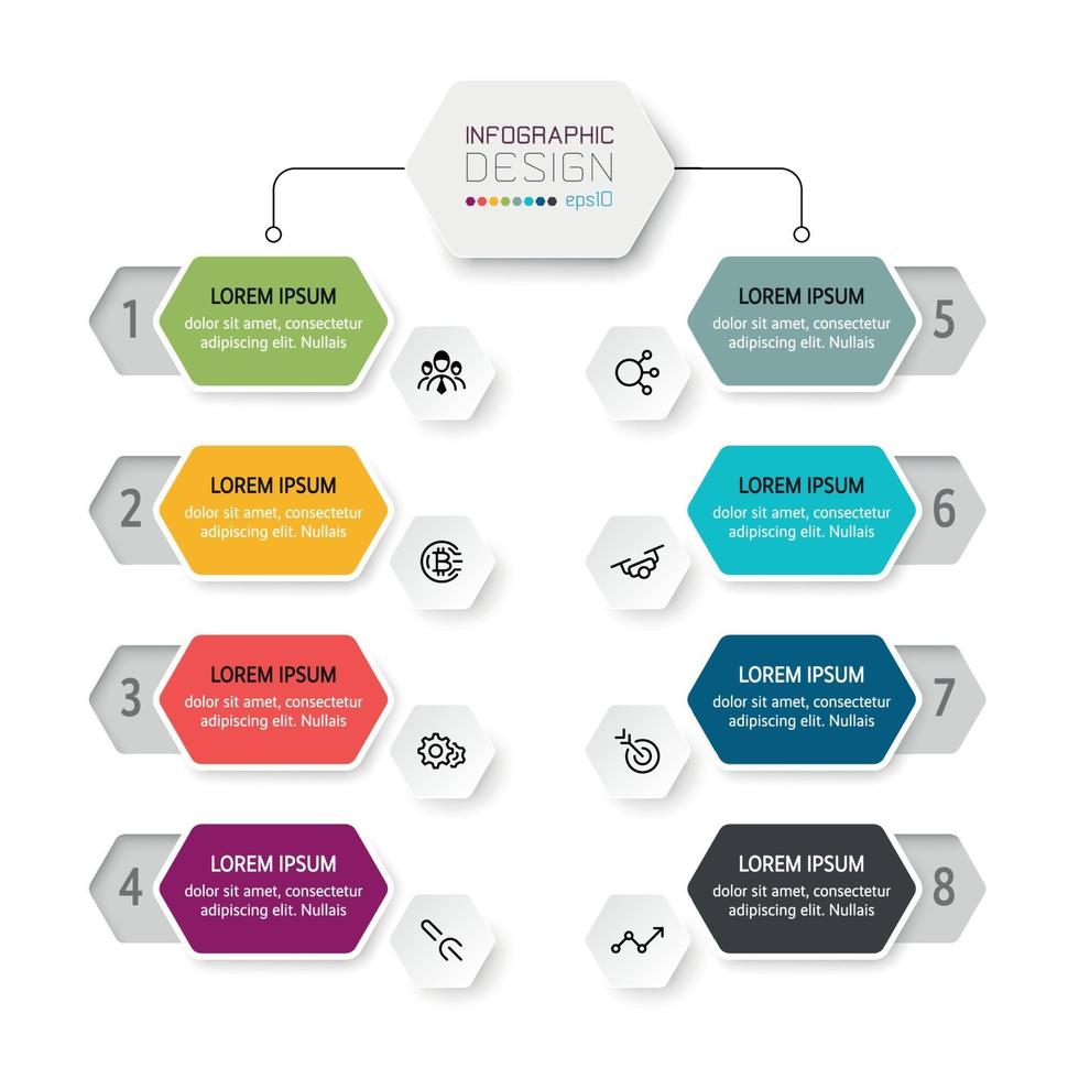 organisation de conception hexagonale, 8 étapes de fonctionnement, expliquer le plan de travail, rencontrer et présenter. infographie vectorielle. vecteur