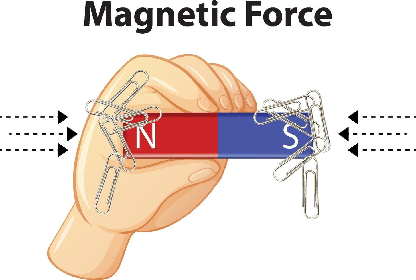 force magnétique avec de nombreux trombones sur fond blanc vecteur