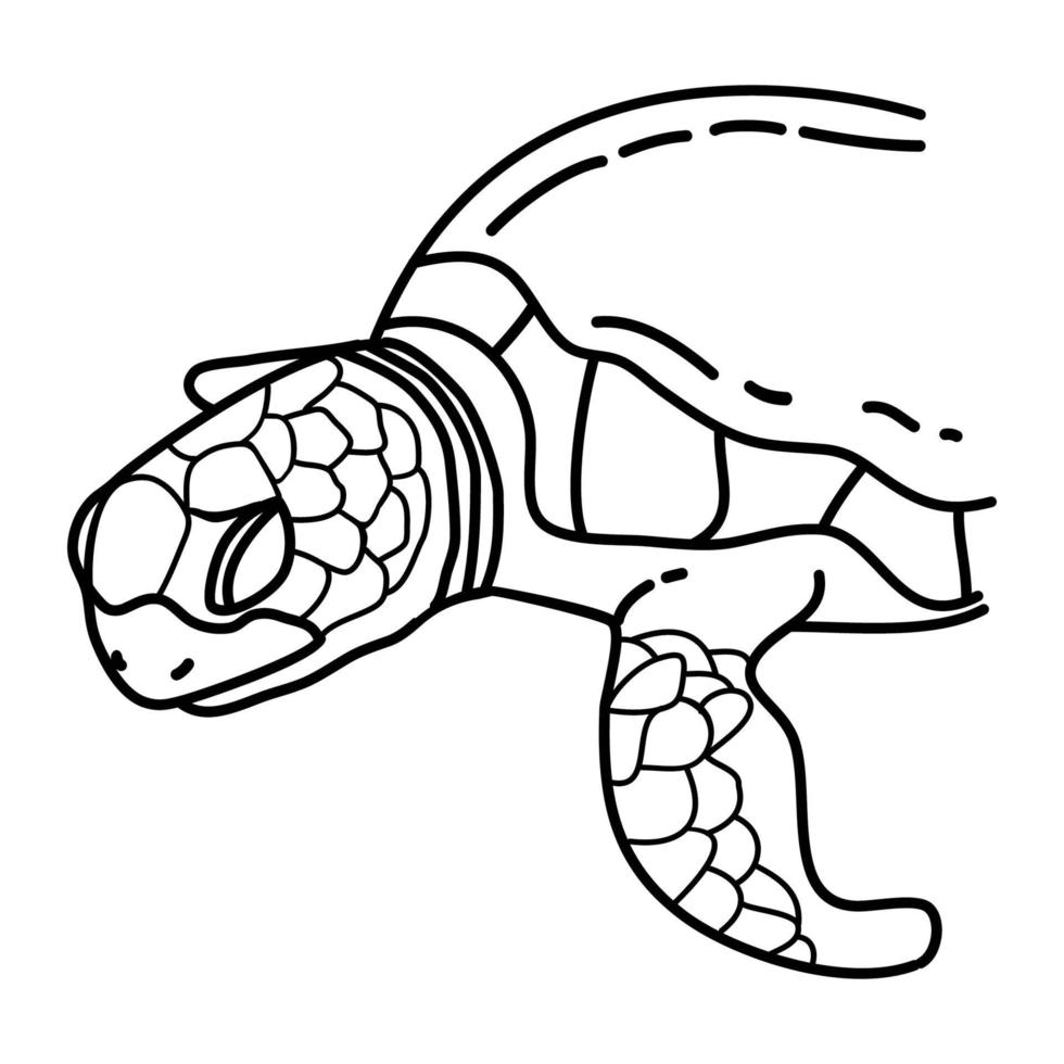 icône tropicale de tortue. style d'icône dessiné à la main ou contour doodle vecteur