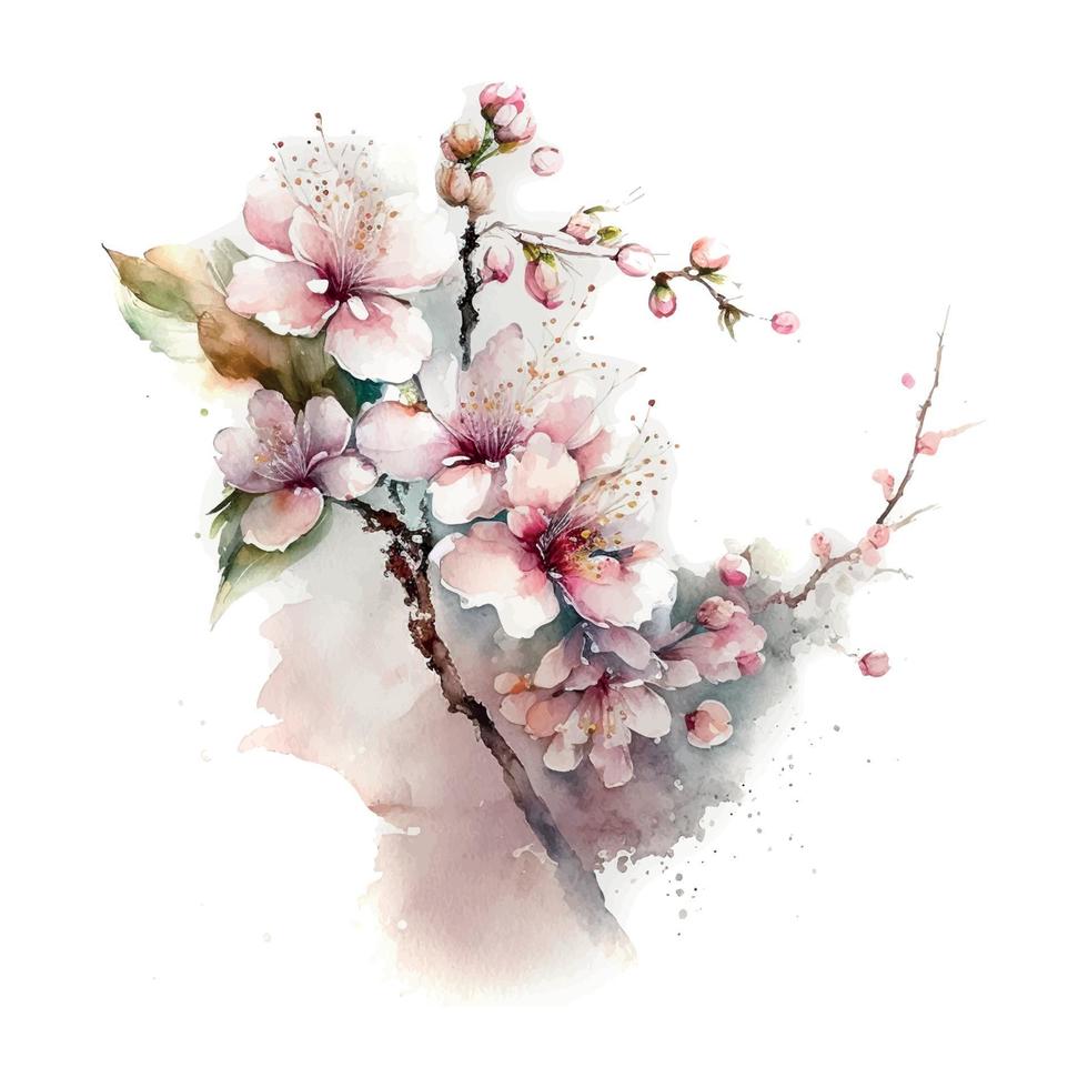 printemps fleurs Cerise fleurs et chute pétales fond-aquarelle illustration vecteur