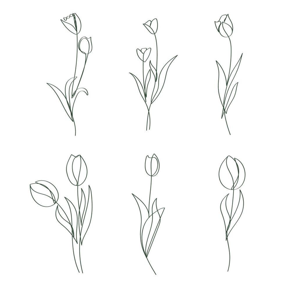 dessiné à la main tulipe fleurs élégant continue ligne dessin ouvrages d'art vecteur