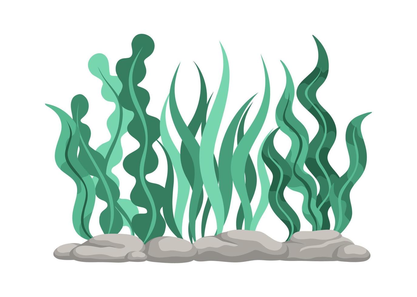 sous-marin organisme algues algue griffonnage vecteur. biologique l'eau plante illustration. vecteur
