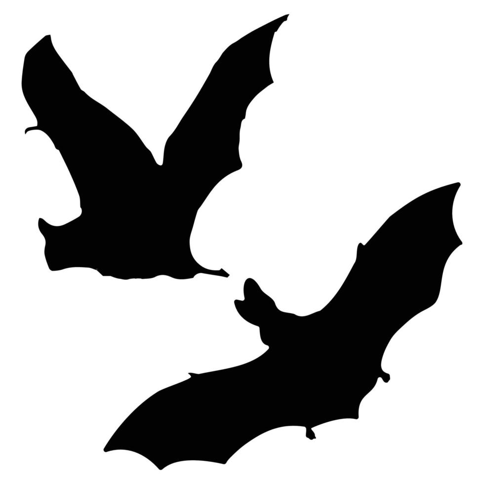 silhouette d'art de chauve-souris vecteur