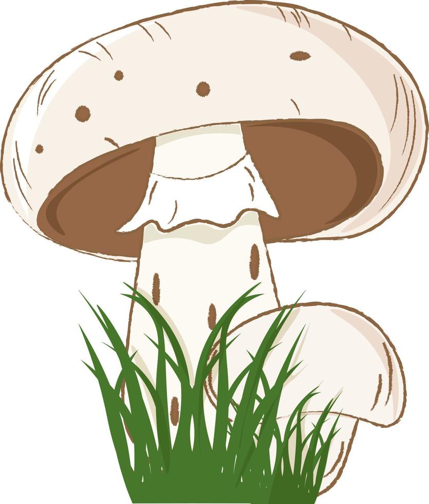 champignon champignon dans le herbe vecteur