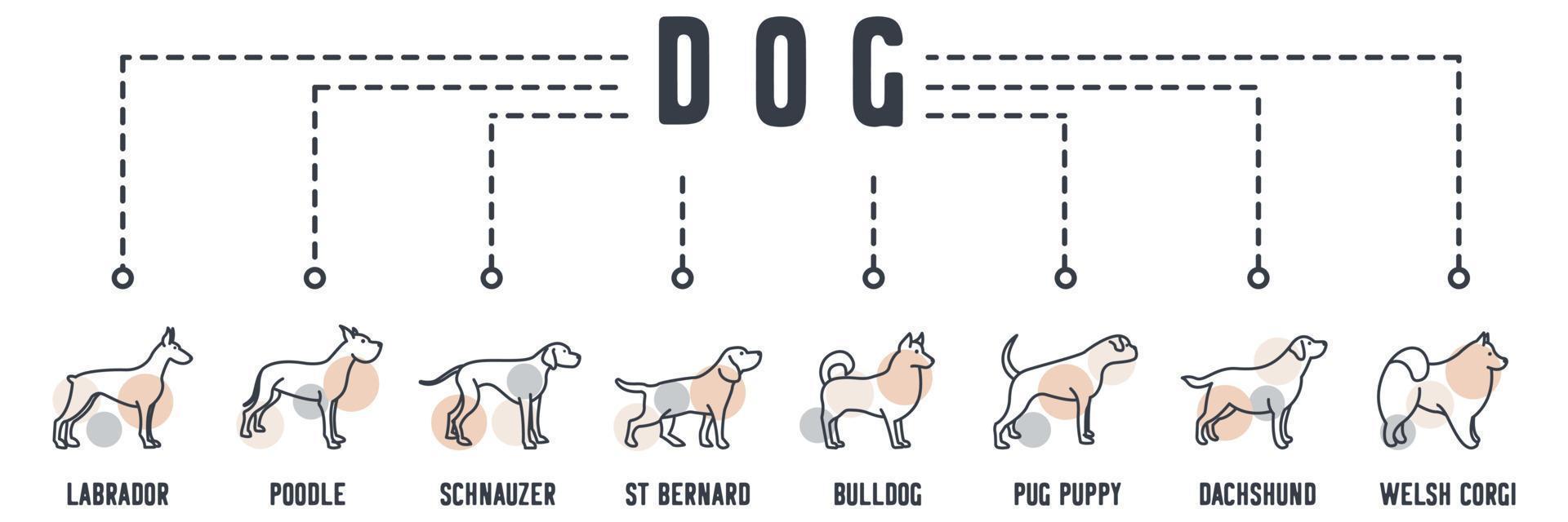 icône web de bannière de chien. samoyède, retriever, boxeur, husky, beagle, pointeur, grands danois, concept d'illustration vectorielle doberman. vecteur