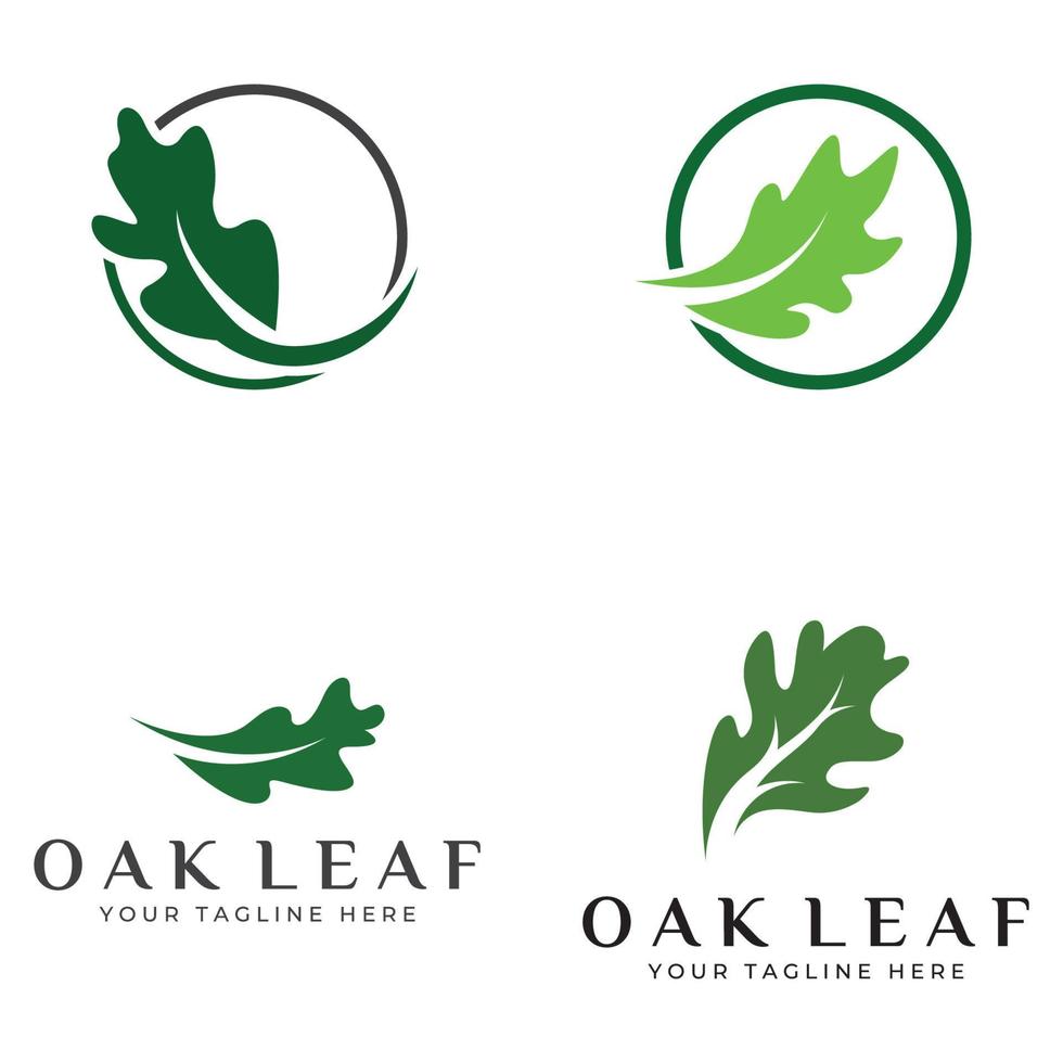 logo de feuille de chêne d'automne et logo de chêne. avec une édition facile et simple de l'illustration vectorielle. vecteur