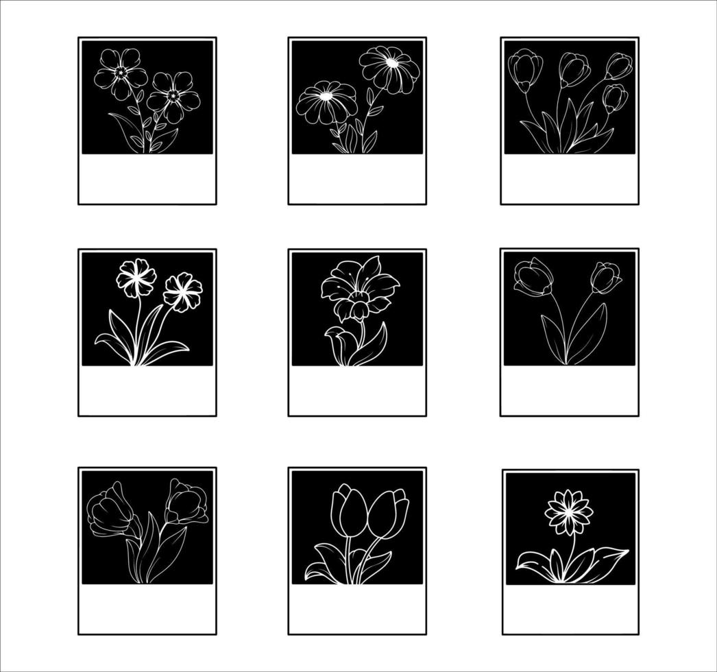 collection de image Cadre floral noir Couleur blanc Contexte vecteur