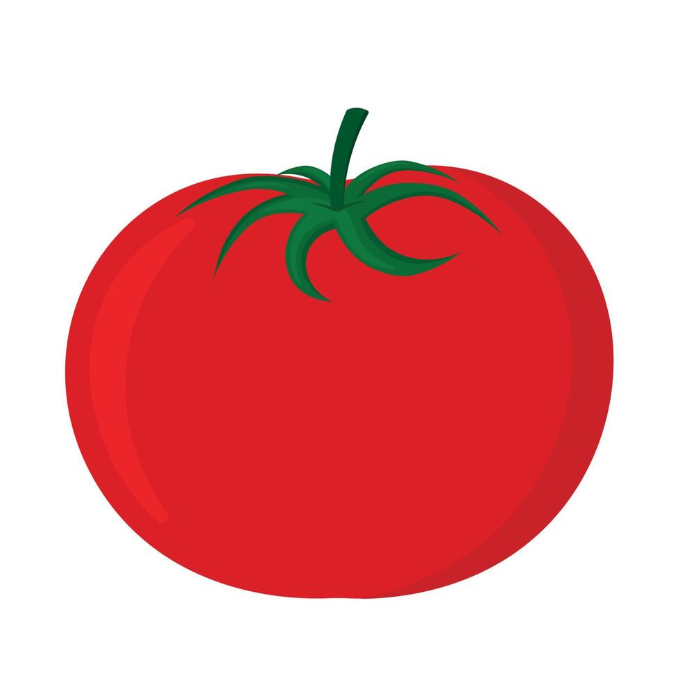 Animé tomate icône clipart dans dessin animé légume vecteur illustration