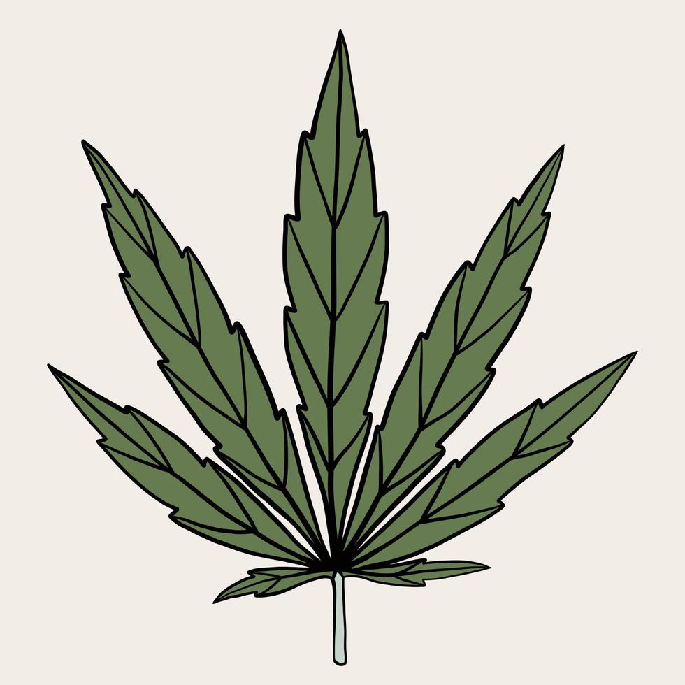 dessin à main levée de feuille de cannabis de simplicité. vecteur