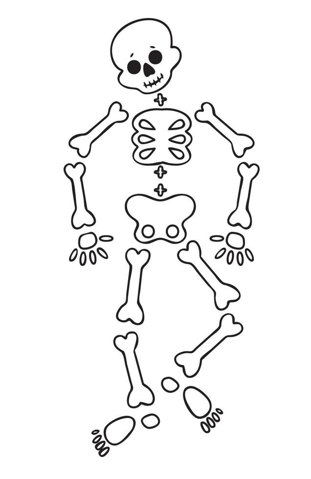 marrant dessin animé dansant squelette. mignonne graphique pour Halloween. reprendre isolé illustration sur blanc Contexte. vecteur