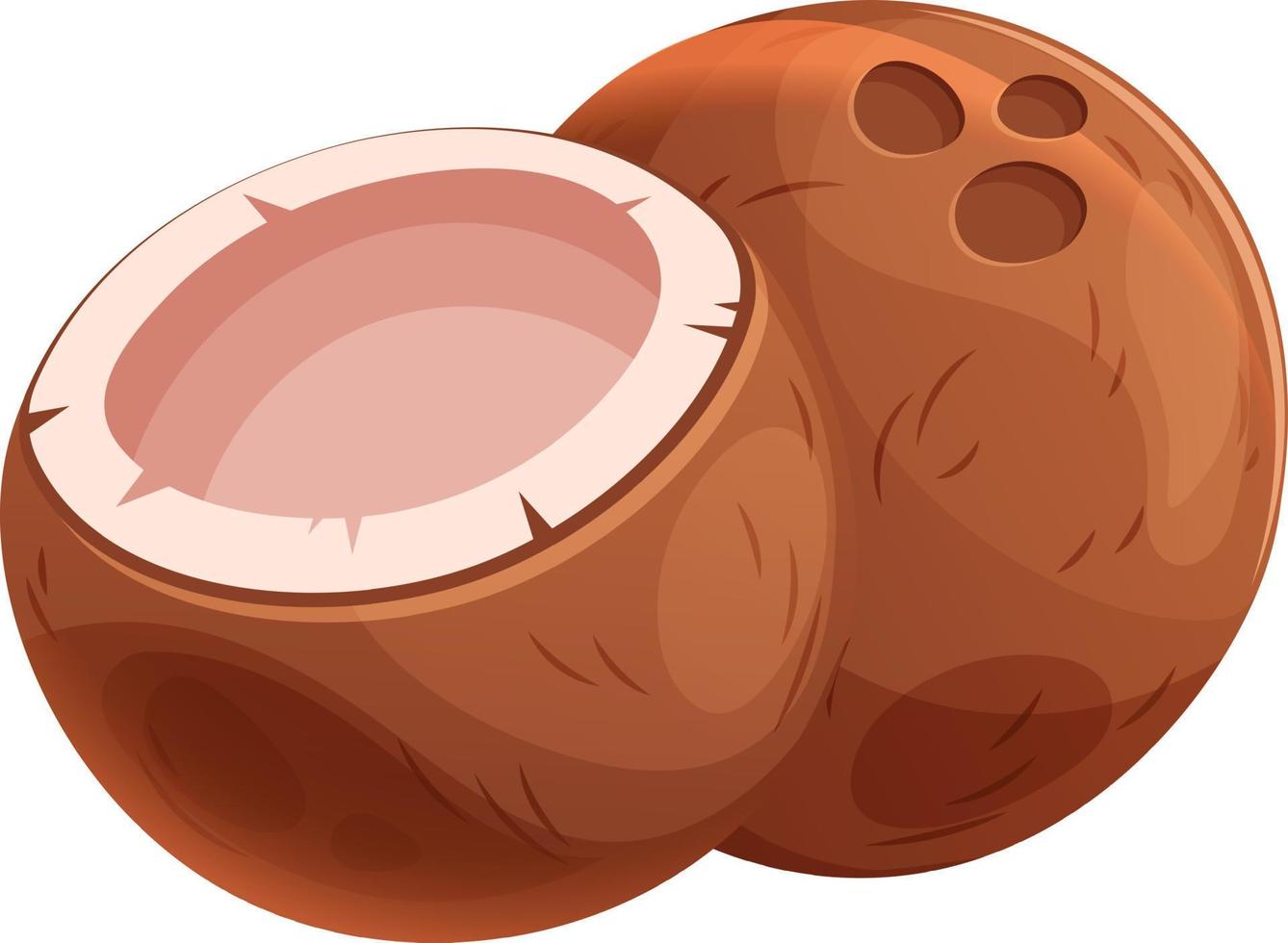 dessin animé juteux noix de coco, deux noix de coco entier et moitié sur transparent Contexte vecteur
