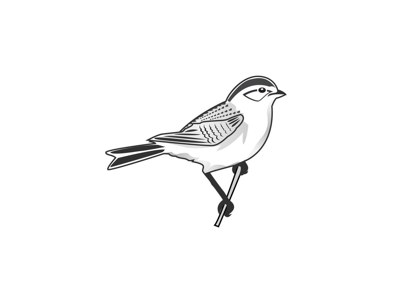 création de logo d'oiseau vecteur