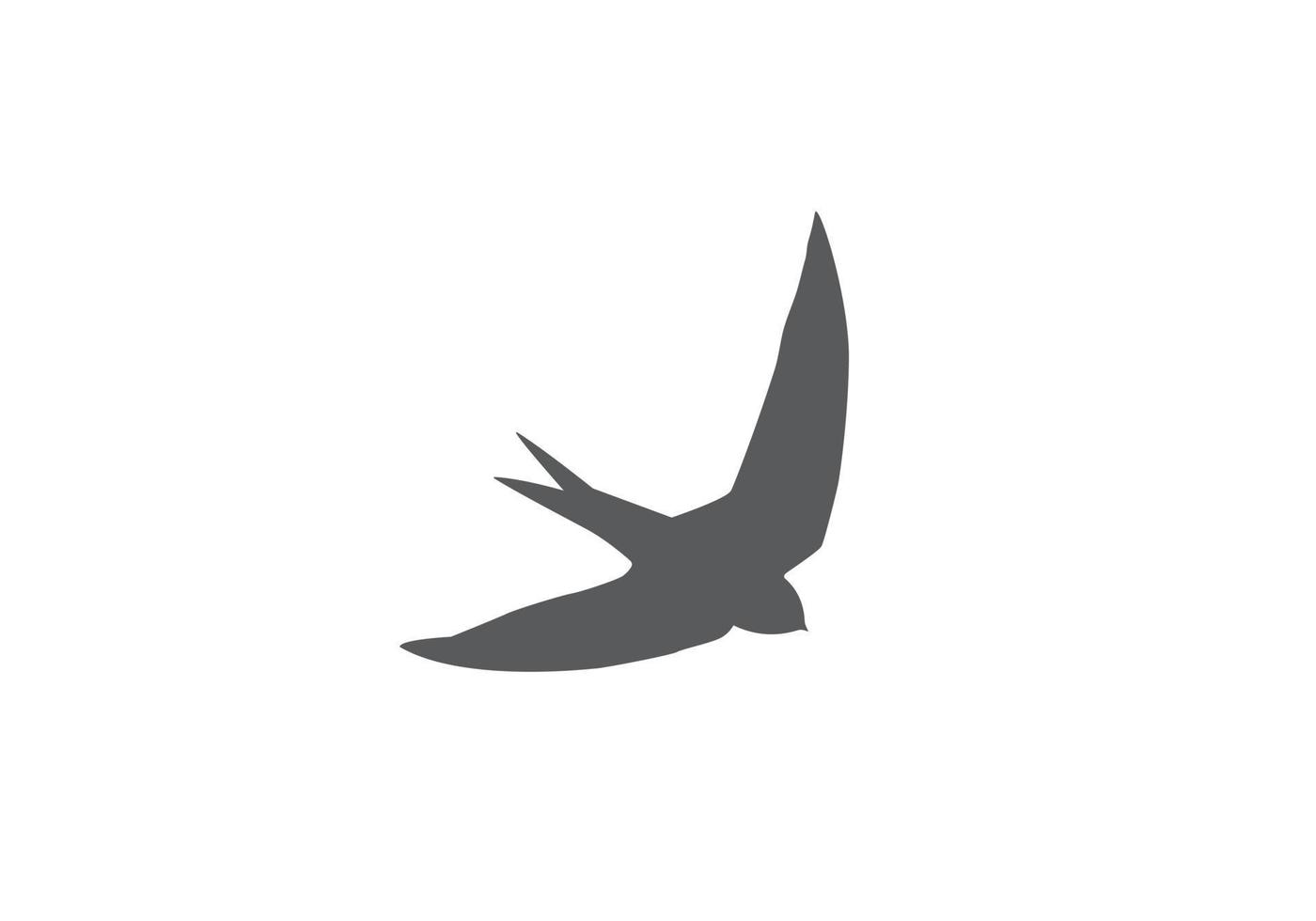 création de logo d'oiseau vecteur