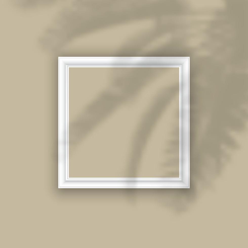 cadre photo avec superposition d'ombre végétale 0301 vecteur