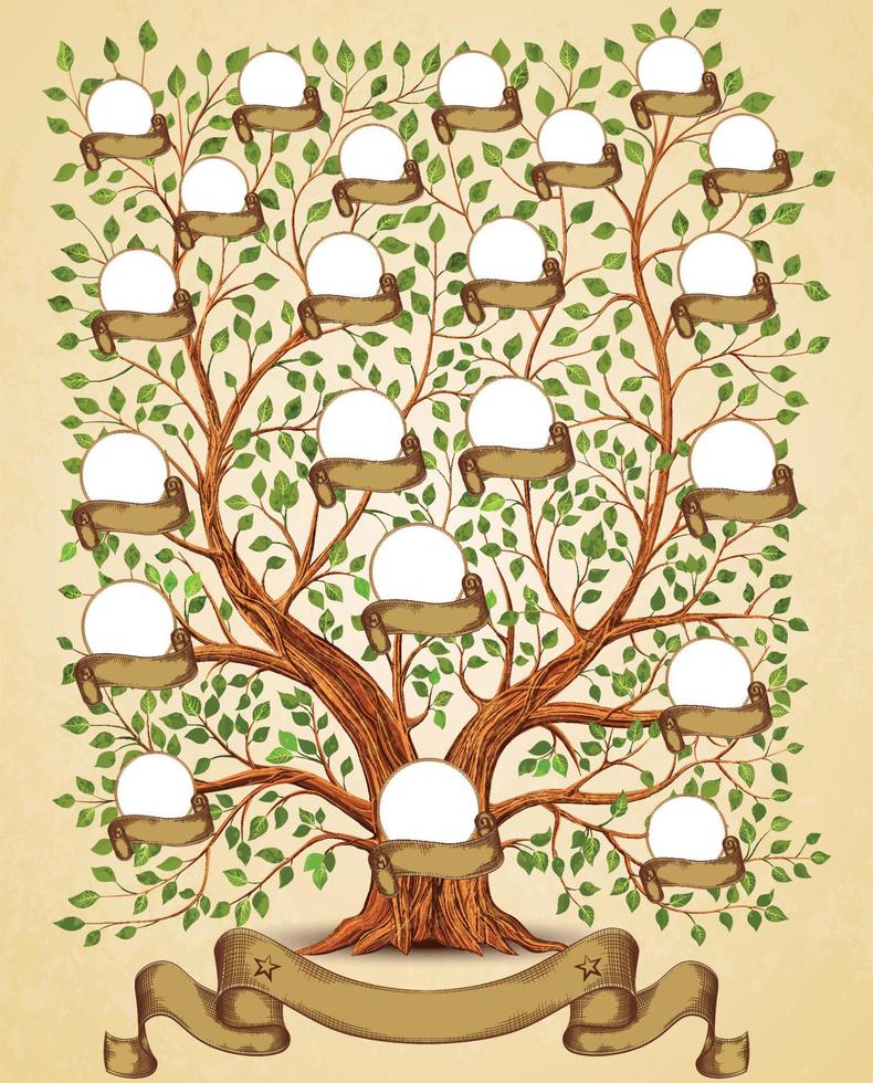 famille arbre modèle ancien vecteur illustration