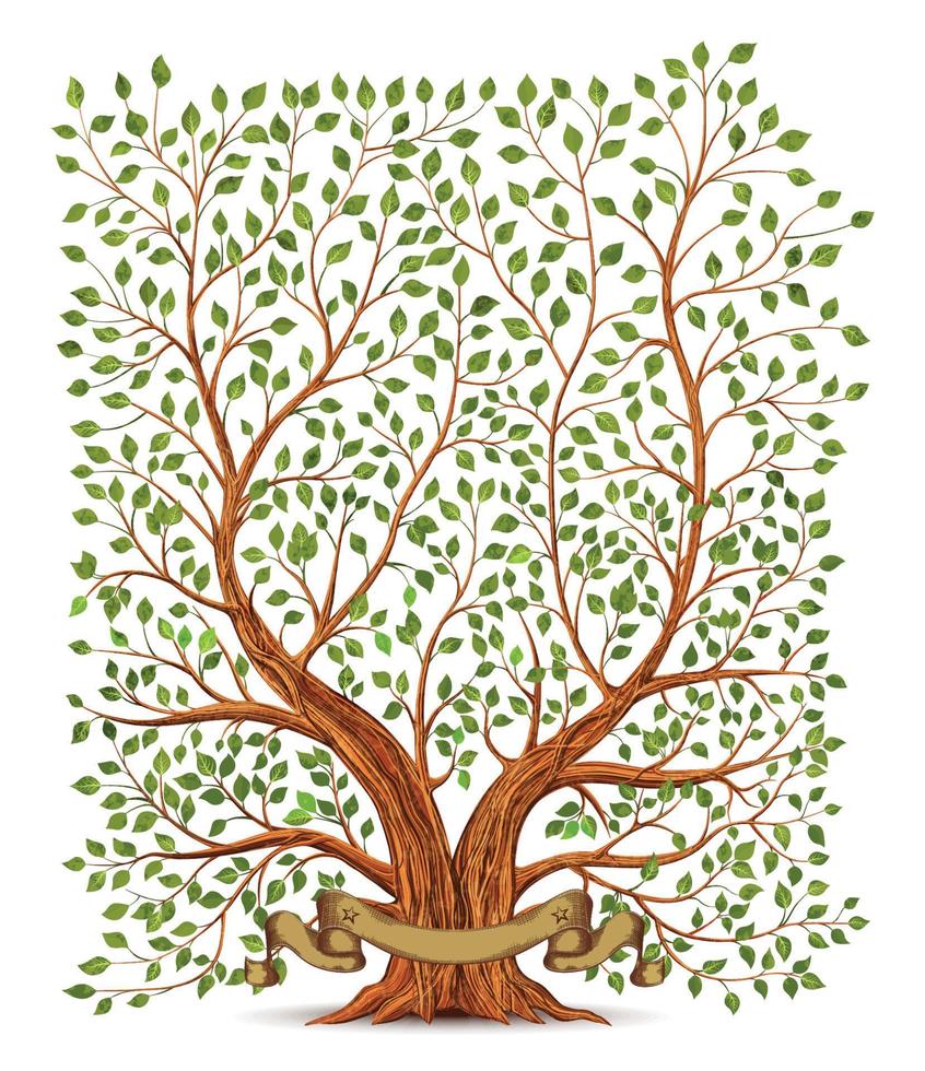 vieux ancien arbre vecteur illustration