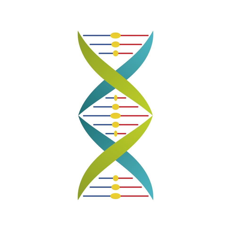 Icône isolée de structure de molécule d'ADN vecteur