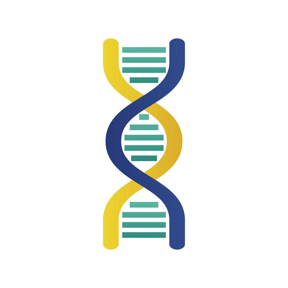 Icône isolée de structure de molécule d'ADN vecteur