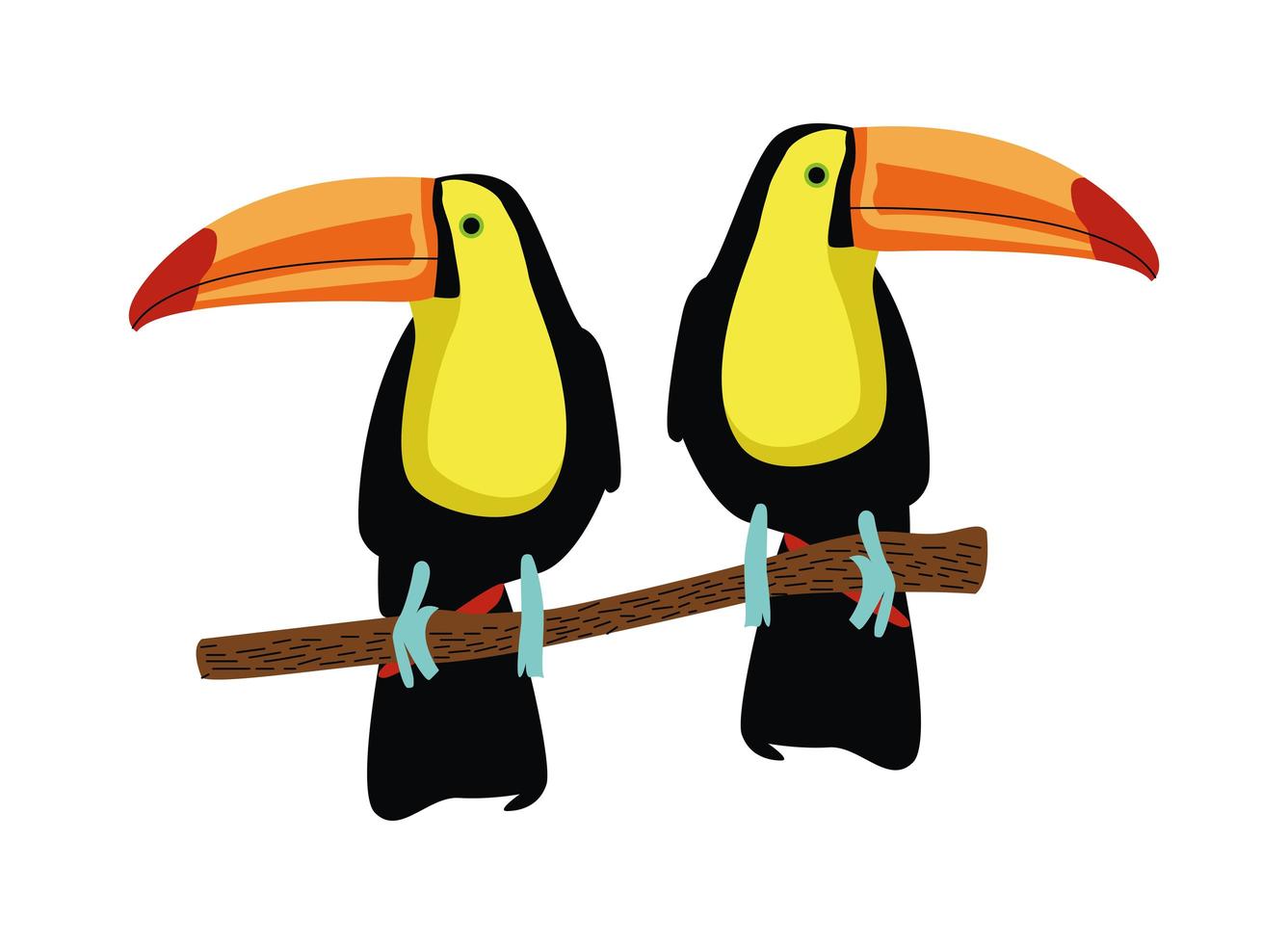 toucans sauvages oiseaux exotiques animaux vecteur