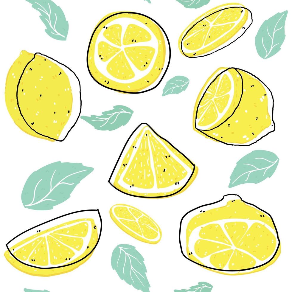 citron tranché lumineux et feuilles avec fond transparent motif de ligne, fond d'été vecteur