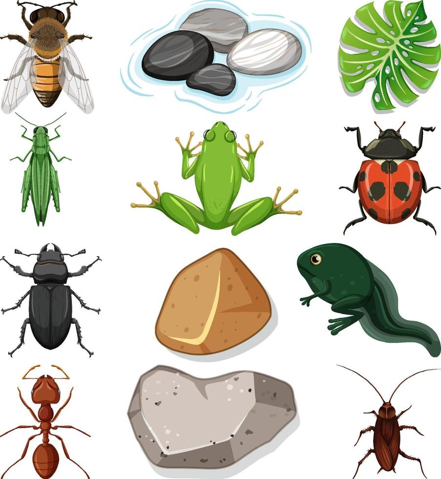 différents types d'insectes avec des éléments de la nature vecteur