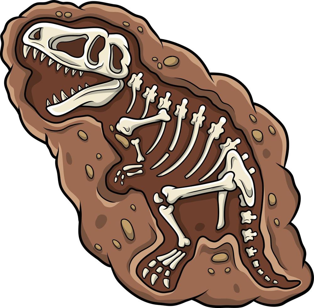 dessin animé t-rex dinosaure fossile vecteur