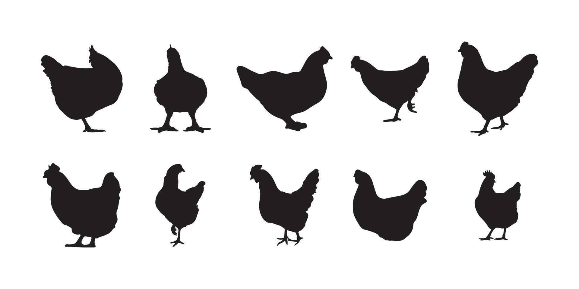 poule, gril, poulet silhouettes vecteur illustrateur eps10