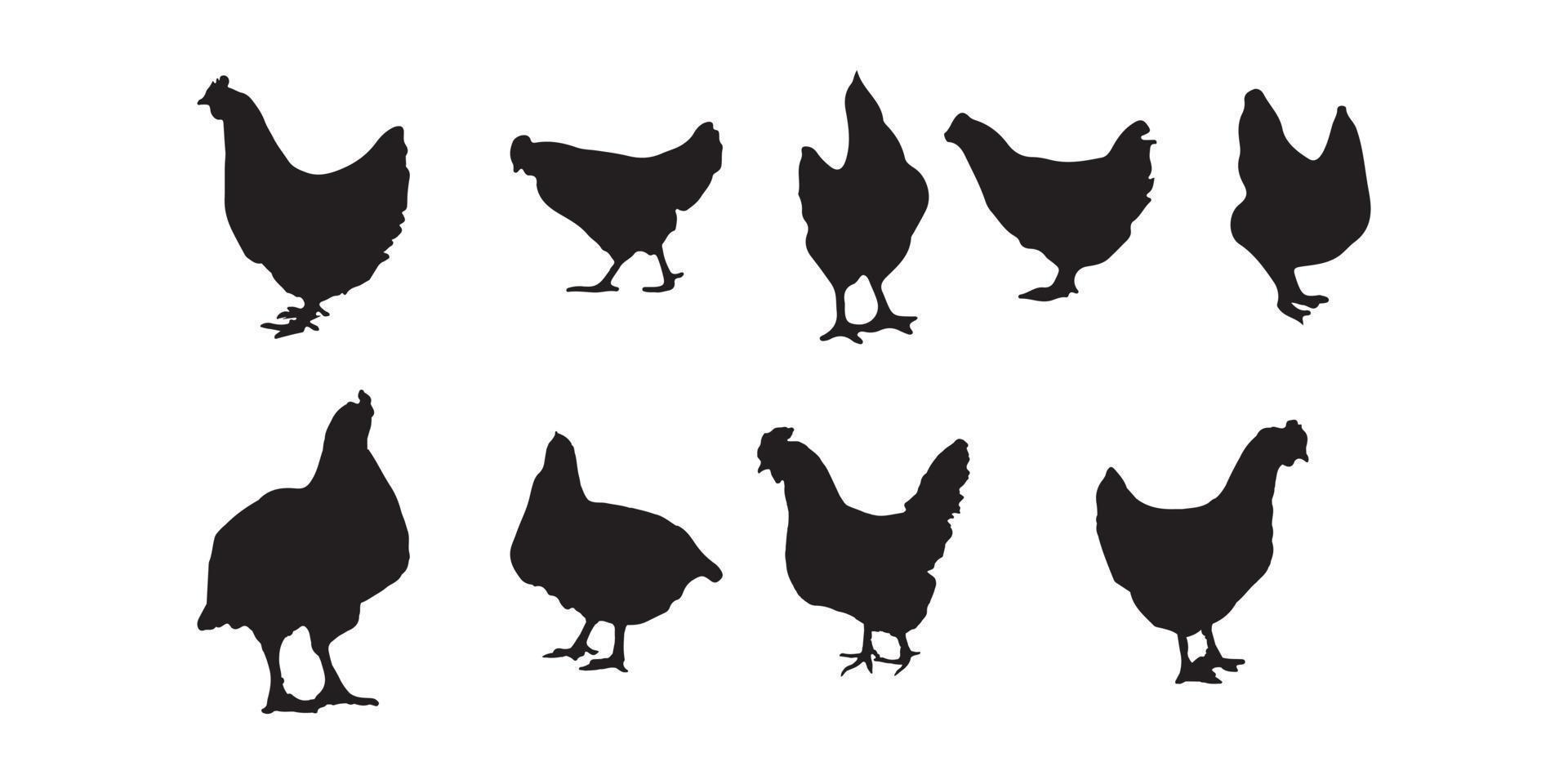 poule, gril, poulet silhouettes vecteur illustrateur eps10