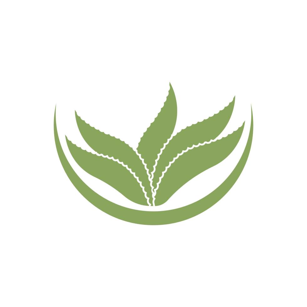 aloès Vera logo icône conception symbole beauté vecteur