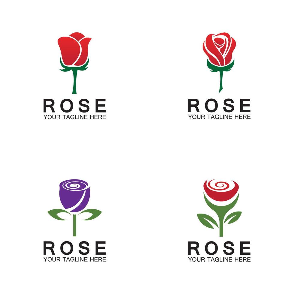 logo rose fleur vecteur icône illustration design