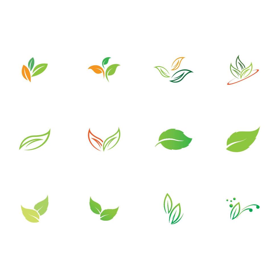 la nature de feuilles logo vecteur