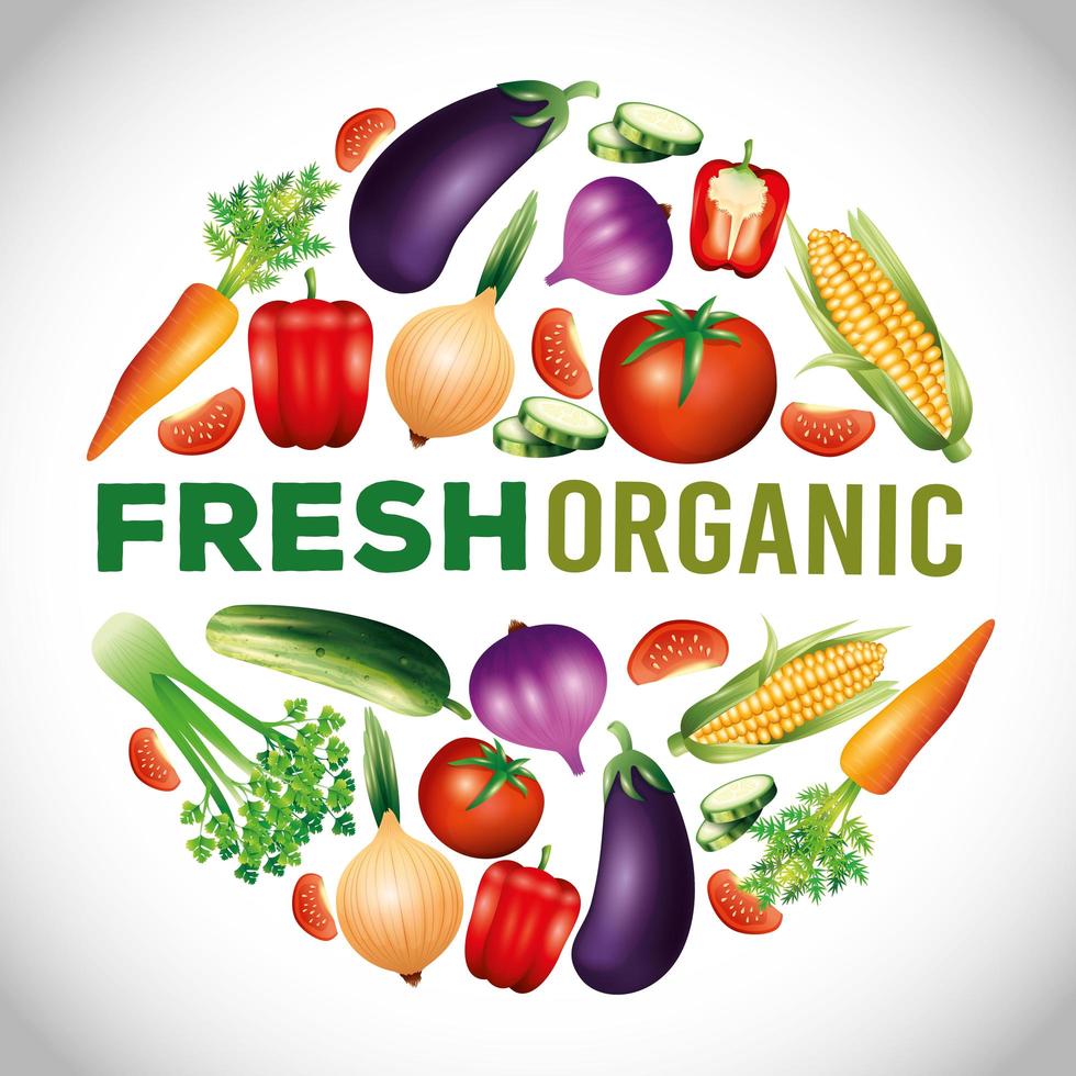 légumes biologiques frais, nourriture saine, mode de vie ou régime sain vecteur