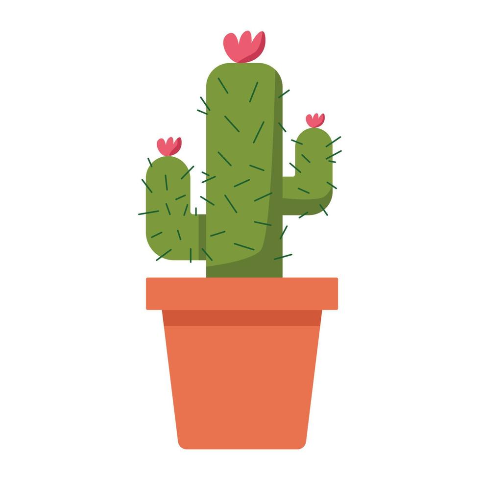 mignonne cactus plat vecteur illustration