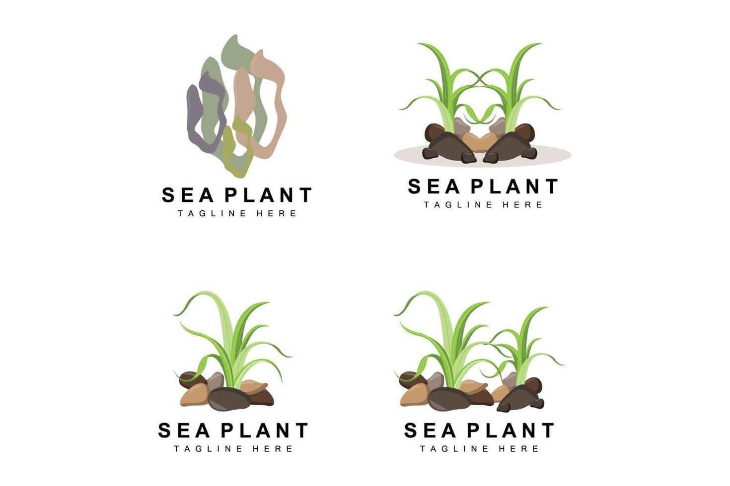 logo d'algues, conception vectorielle de plantes marines, épicerie et protection de la nature vecteur