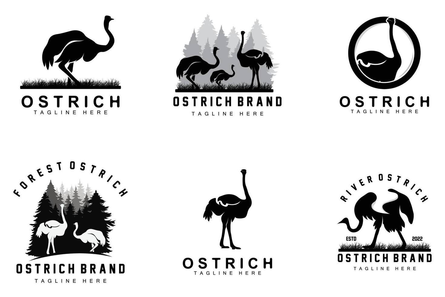 conception de logo d'autruche, illustration d'animal du désert, vivant dans la forêt, produit de marque de chameau vectoriel