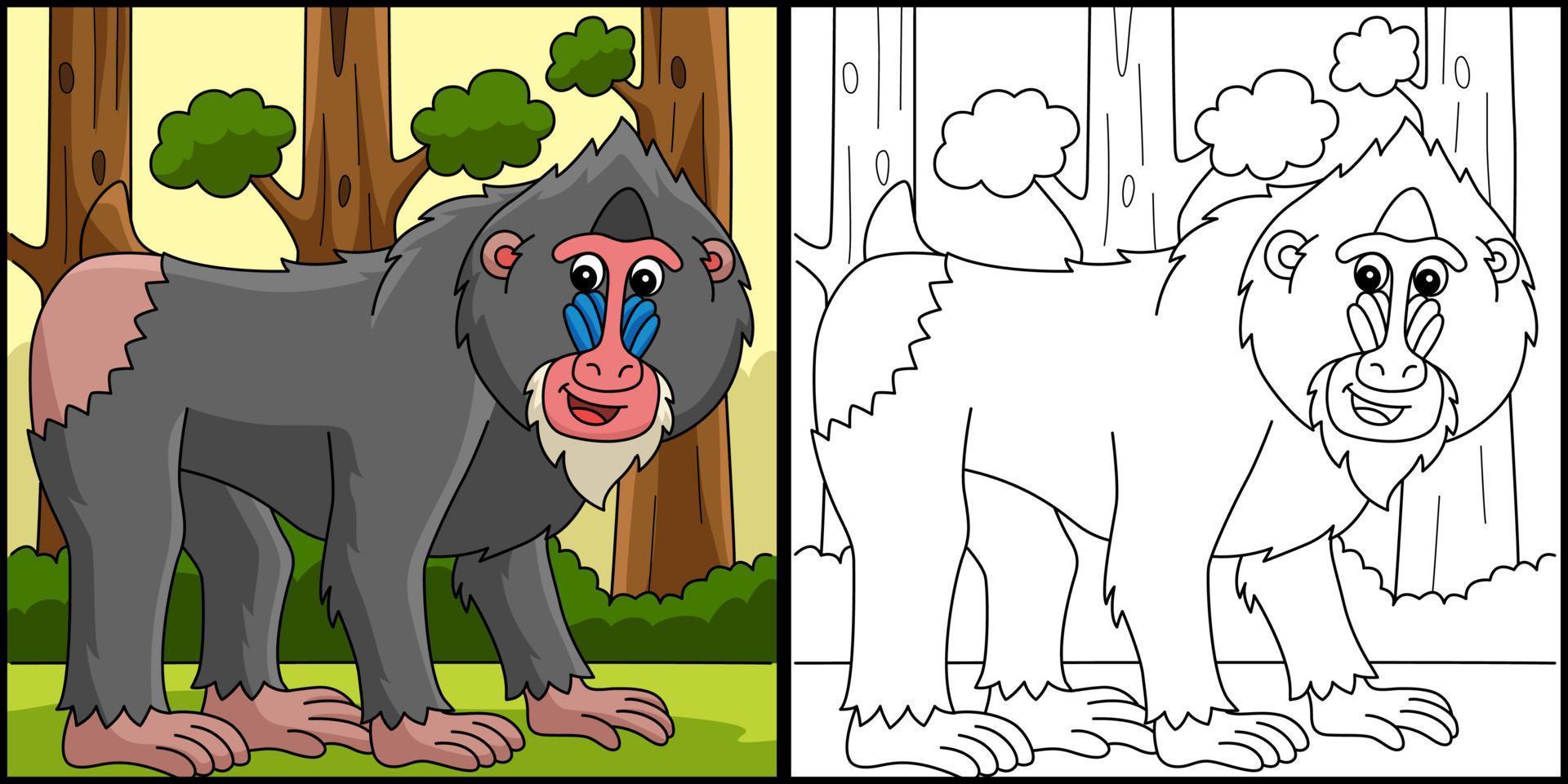 mandrill animal coloration page coloré illustration vecteur