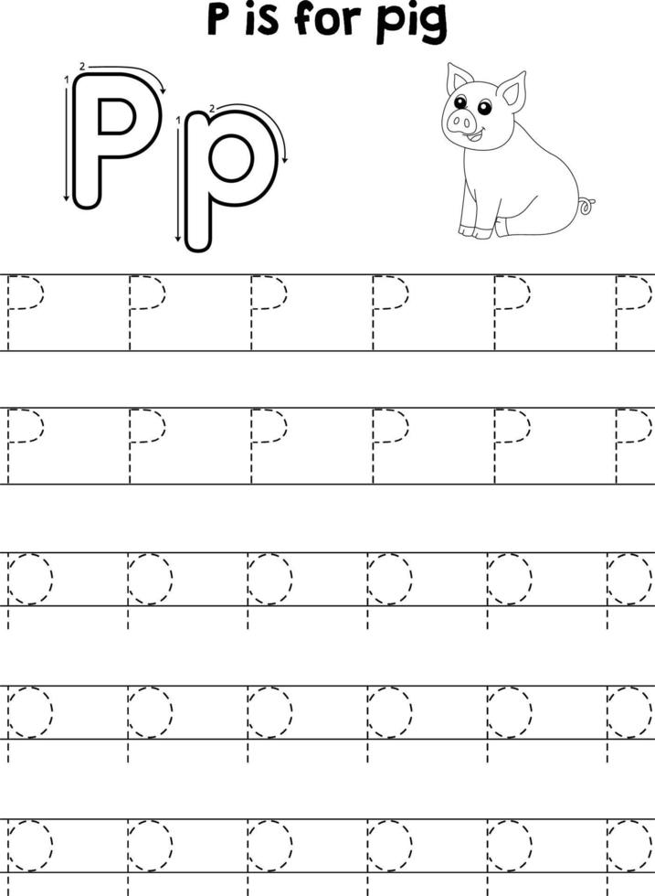 porc animal tracé lettre abc coloration page p vecteur