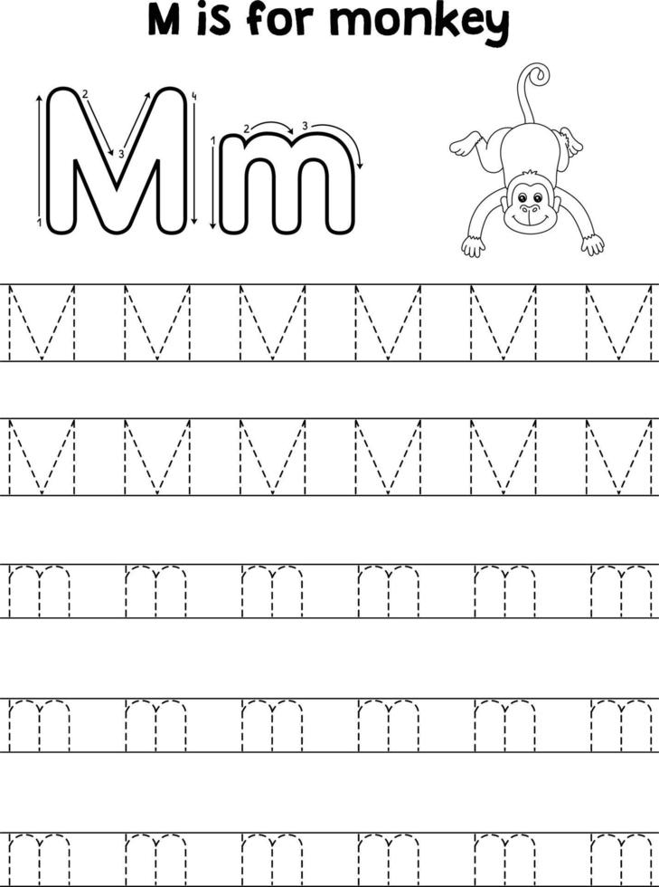 singe animal tracé lettre abc coloration page m vecteur