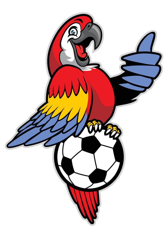 rouge ara oiseau supporter plus de le football Balle vecteur