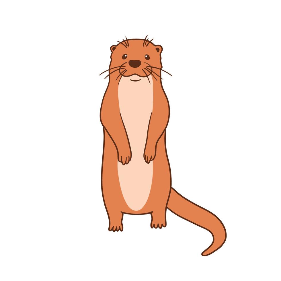 loutre mignonne, illustration de dessin animé plane vectorielle isolée sur fond blanc. loutres debout. vecteur