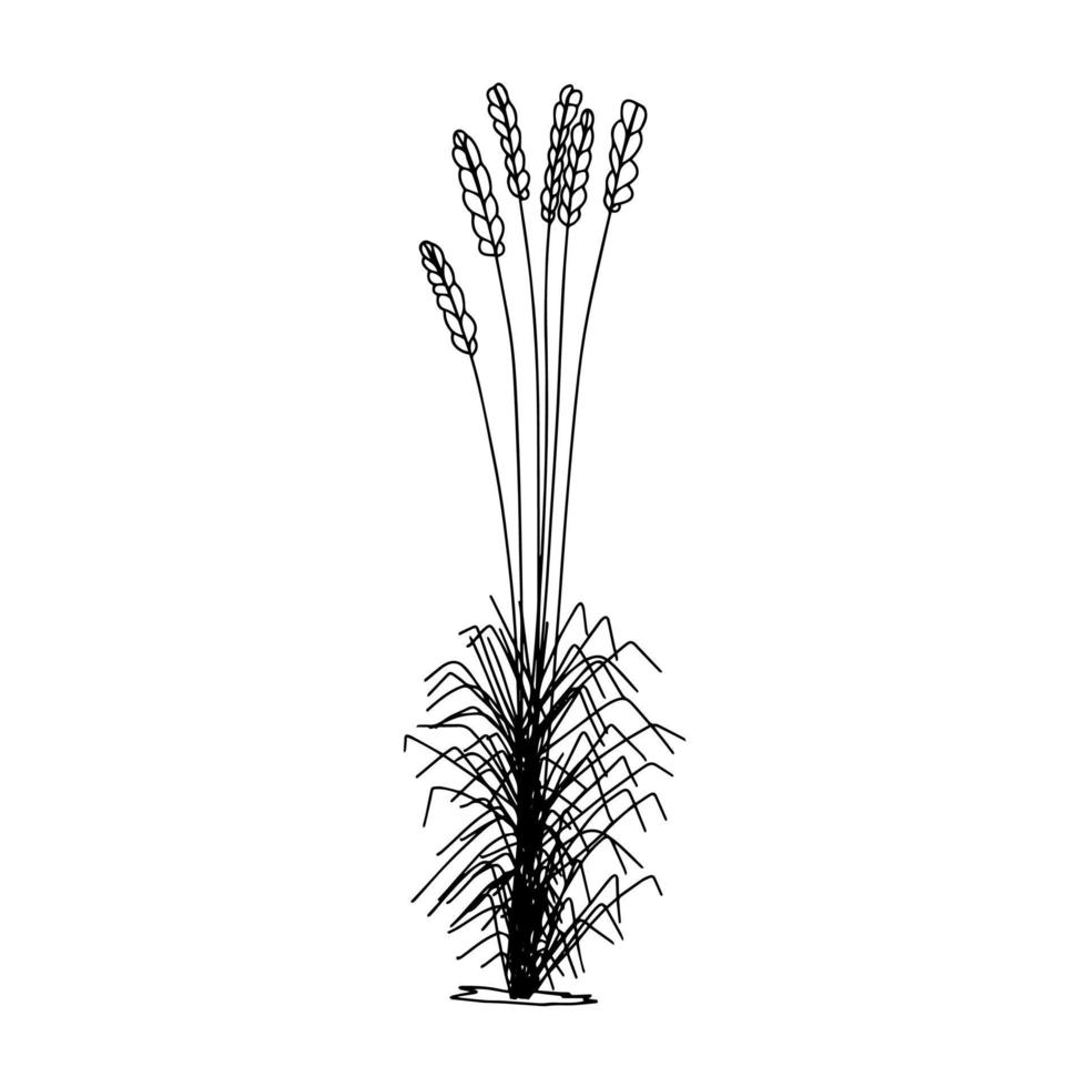 griffonnage main dessiner abstrait plante. vecteur illustration.