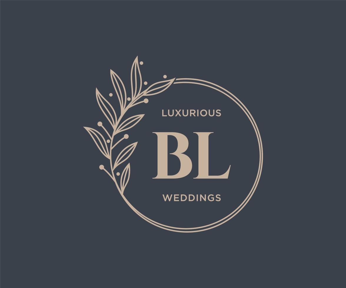 modèle de logos de monogramme de mariage lettre initiales bl, modèles minimalistes et floraux modernes dessinés à la main pour cartes d'invitation, réservez la date, identité élégante. vecteur