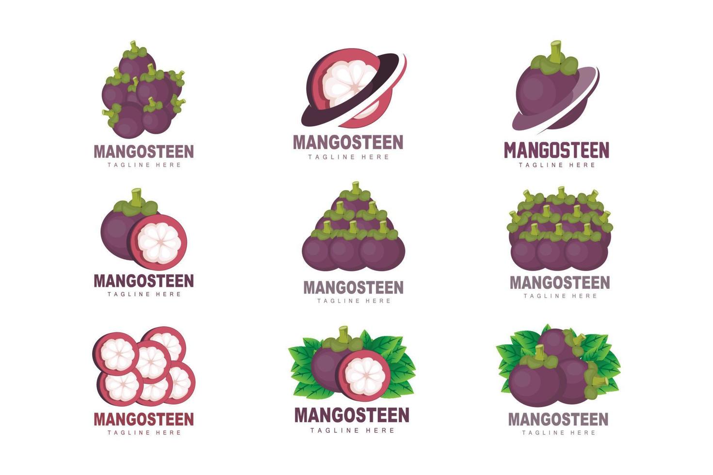 création de logo de mangoustan, vecteur de fruits frais pour la santé de la peau, illustration de marque de magasin de fruits et médecine naturelle de la peau