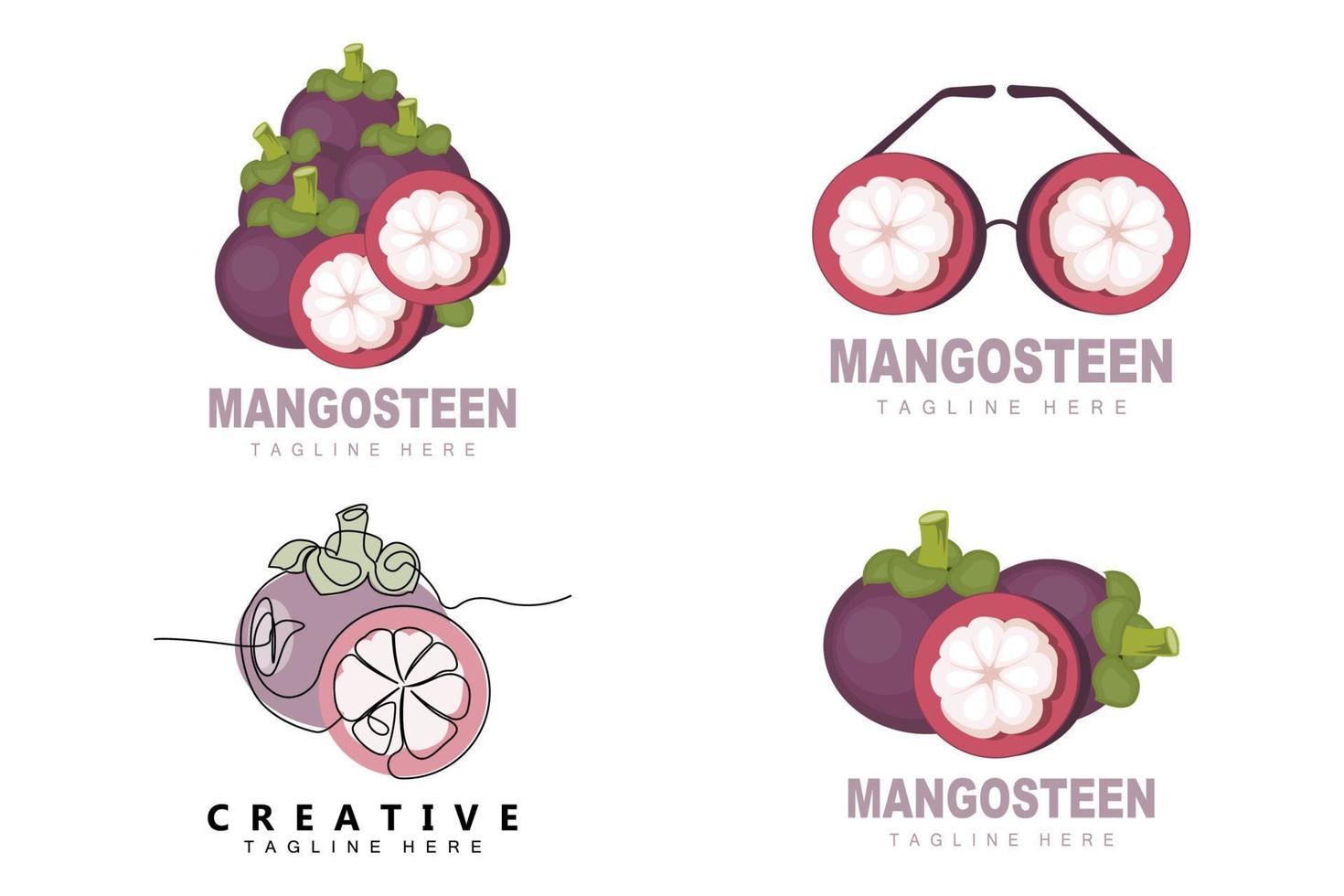 création de logo de mangoustan, vecteur de fruits frais pour la santé de la peau, illustration de marque de magasin de fruits et médecine naturelle de la peau