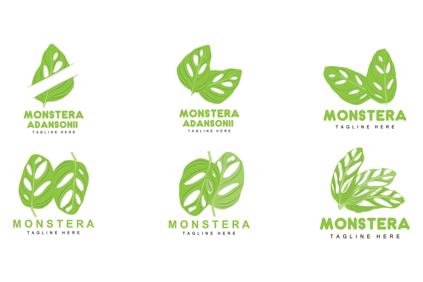 logo de feuille de monstera adansonii, vecteur de plante verte, vecteur d'arbre, illustration de feuille rare