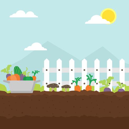 Illustration de jardin de légumes vecteur